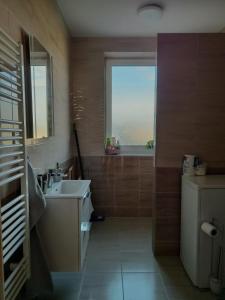 a bathroom with a sink and a window at Apartmány Starý Blich in Bardejov +10 photos