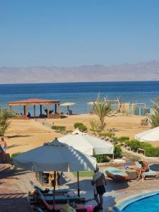 ein Strand mit Sonnenschirmen und einem Pool und dem Meer in der Unterkunft Ciao Hotel in Nuweiba