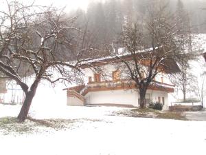a house with two trees in the snow at Gemütliches Ferienhaus In Hart Im Zillertal in Hart im Zillertal