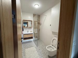 别拉什尼察Apartman Asi的带马桶和水槽的浴室