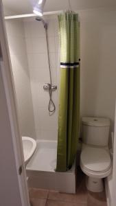 a bathroom with a green shower curtain and a toilet at La Serena Mini Departamento in La Serena