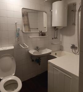 a bathroom with a toilet and a sink and a mirror at Apartman Herceg Novi in Herceg-Novi