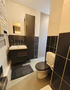 a bathroom with a toilet and a sink at Le gîte du faubourg in Sautour +41 photos