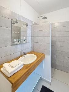 a bathroom with a sink and a mirror at Les Terrasses de la Wallon Paprika in Les Trois-Îlets +8 photos