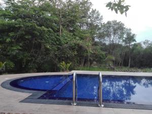 Hồ bơi trong/gần JunglevistaLake