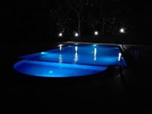 Hồ bơi trong/gần JunglevistaLake