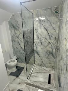 a bathroom with a shower and a toilet at Le Charme Hostel in Bucharest
