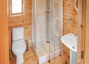 a bathroom with a shower and a toilet and a sink at Home Farm in Stillingfleet +4 photos