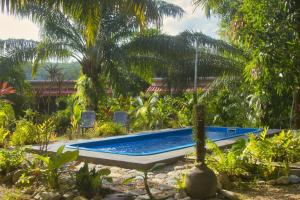 a swimming pool in a garden with a palm tree at Baan Reena Lanta Resort in Ko Klang