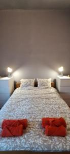 a bedroom with a large bed with two red pillows at IVA Apartman in Belgrade