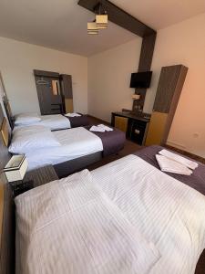 a hotel room with three beds and a television at Hotel Montenegro in Bruntál +55 photos