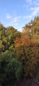 a group of trees and bushes with a building in the background at IVA Apartman in Belgrade