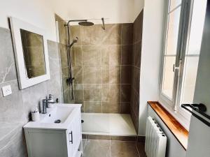 a bathroom with a shower and a sink at Le Petit Bourdieu - Chouette in Jurançon