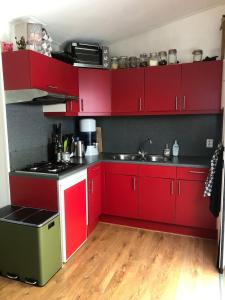 a red kitchen with a sink and red cabinets at Het Groene Hart in Groesbeek