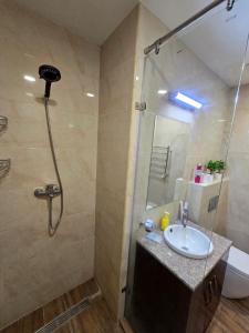 une salle de bain avec douche et lavabo dans l'établissement Hay Tun Apartments, à Erevan 8 autres photos