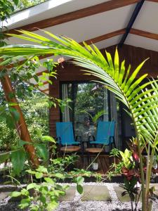a patio with blue chairs and a palm tree at Baliyana Lodge in San José Pinilla