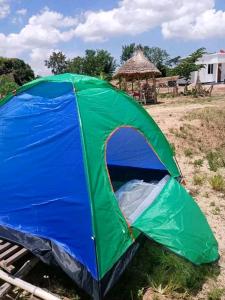 a blue and green tent sitting in the grass at Makucha Ya Simba Homestay and camping grounds in mwanza in Mwanza
