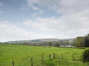 a field with a fence and cows in the distance at Spring Grove in Pooley Bridge