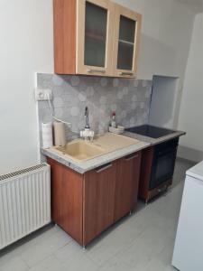a kitchen with a sink and a counter top at Haus Ursula in Orgovány