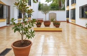 a row of potted plants in a hallway at Casa Del Arco in Ronda +24 photos