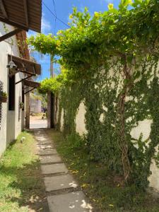 an alley with ivy on the side of a building at Suítes nativa in Trairi