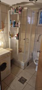 Ένα μπάνιο στο Apartmani Pekeč