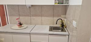 Η κουζίνα ή μικρή κουζίνα στο Apartmani Pekeč