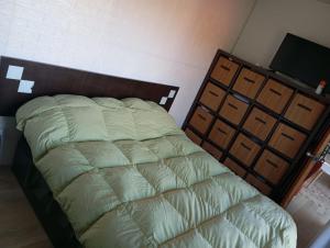 a bed with a green comforter in a room at Cielo abierto in Maldonado