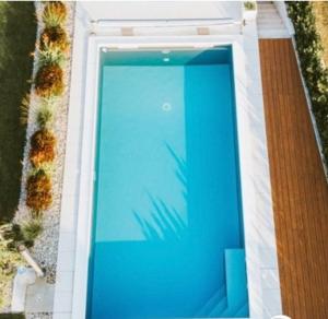 an overhead view of a blue pool with a palm tree at Villa Dyrrahu in Golem