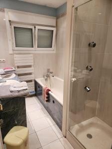 a bathroom with a shower and a toilet and a sink at Cozy vacation home in Langeais in Langeais