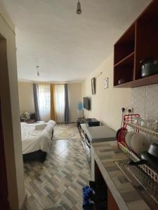 a room with a bedroom with a bed and a kitchen at Studio Bnb in Kitengela 