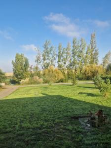 een veld met een vijver in het gras bij Chez Mémé, gite proche Futuroscope in Saint-Clair