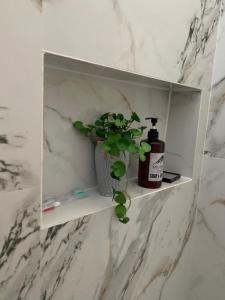 a plant sitting on a shelf in a bathroom at AJA Homestay in Pronojiwo +10 photos