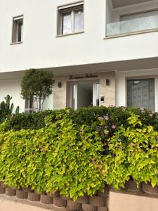 a large green hedge in front of a building at La Maison italienne in Tangier