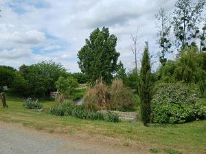een tuin met bloemen en planten aan de kant van een weg bij Chez Mémé, gite proche Futuroscope in Saint-Clair