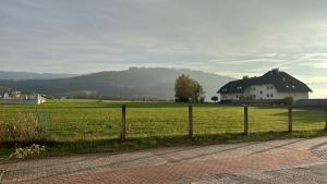 Příroda nedaleko apartmánu + 45 fotografií