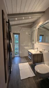 ein Badezimmer mit Toilette, Waschbecken und Spiegel in der Unterkunft Ferienhaus mit großer Terasse in Kellenhusen