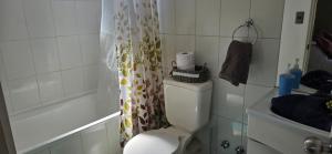a bathroom with a toilet and a shower curtain at Habitacion Matrimonial privada en machali con parcking y wifi in Rancagua