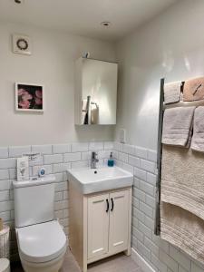 ein Badezimmer mit Toilette, Waschbecken und Spiegel in der Unterkunft The Cottage in Bristol