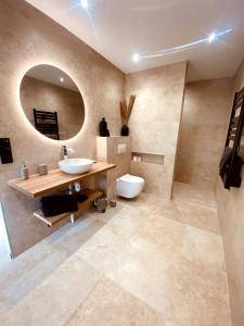 a bathroom with a sink and a toilet and a mirror at Appartement Fiorentina in Saint-Avold