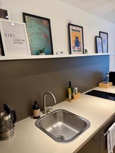 a kitchen counter with a sink and shelves at Zentrales Studio-Appartment mit Terrasse in Hildesheim
