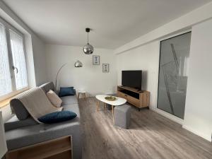 a living room with a couch and a tv at Le Gîte des Vosges in Anould