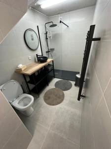 een badkamer met een douche, een toilet en een wastafel bij Là cachette in Remiremont
