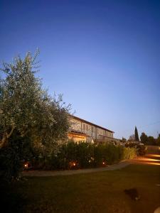 a building in a yard at night with a tree at Casa Leoni Chianni - tuscan luxurious Villa in Chianni