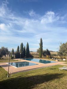 a swimming pool in the middle of a grass field at Casa Leoni Chianni - tuscan luxurious Villa in Chianni