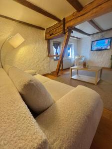 Μια τηλεόραση ή/και κέντρο ψυχαγωγίας στο The Chalet - in the heart of Metz