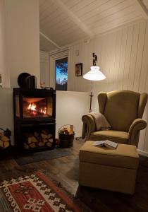 ein Wohnzimmer mit Couch und Kamin in der Unterkunft Soltoppen - cozy 3 bedroom cabin close to Norefjell 