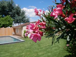Ein Strauß rosa Blumen in einem Garten mit Swimmingpool in der Unterkunft Perfect Studio - au calme avec terrasse, jardin, piscine in Libourne