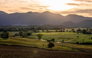a view of a field with mountains in the background at Gorgeous Home In Rivodutri in Apoleggia