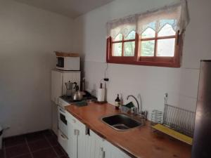 a kitchen with a sink and a microwave at Los Cedros in Córdoba